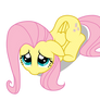 Shy fluttershy