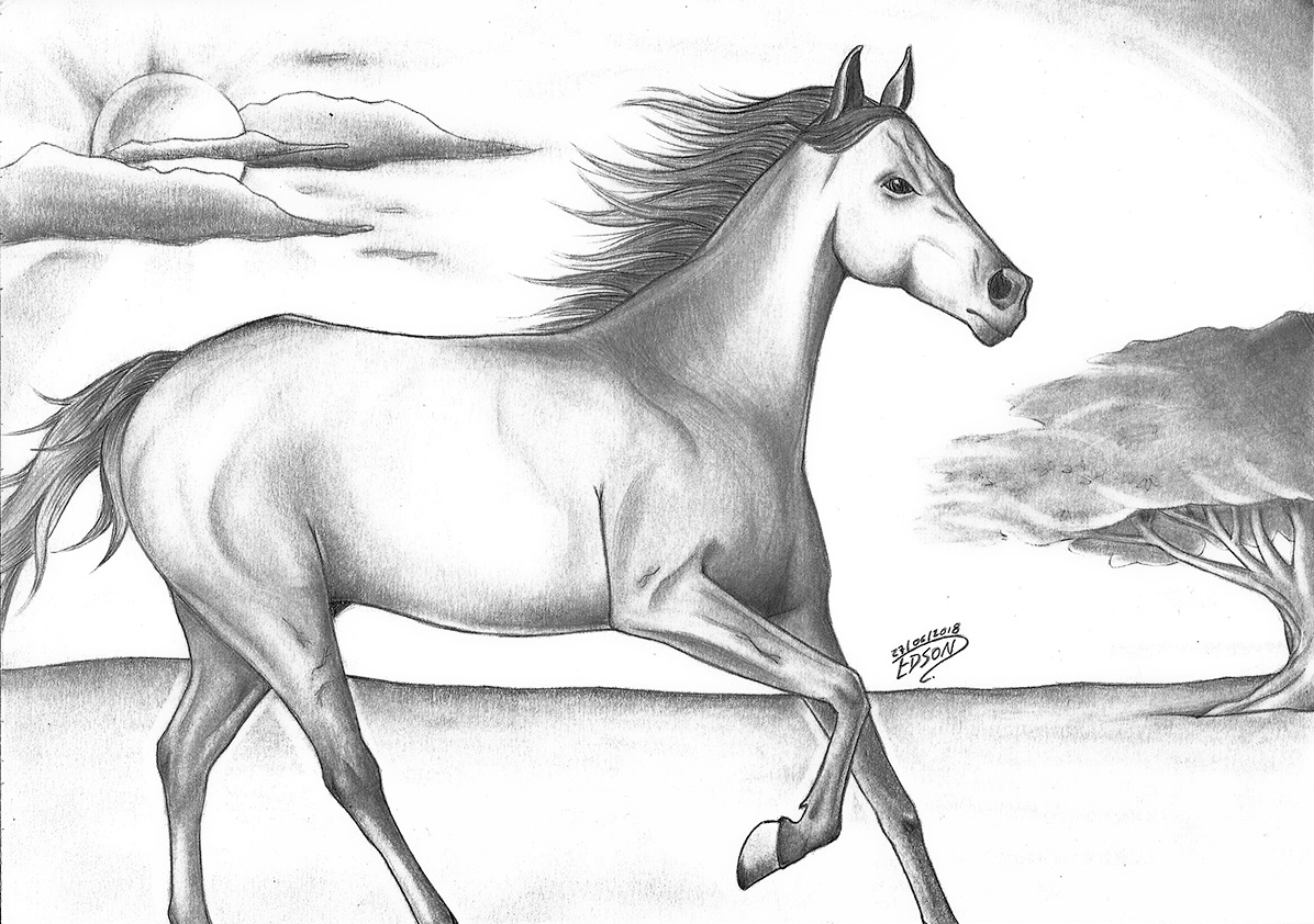 How-To-Draw-Horses  Coisas para desenhar, Cavalo desenho, Cavalos