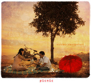 :: RED PICNIC ::