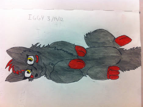 Iggy the Wolf 