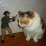 GI Joe cat hunt