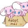 Box of Mews - Adopt me!