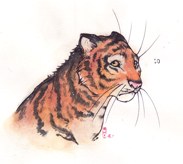 random tiger headshot