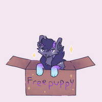 [AF] free puppy