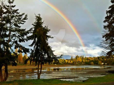 Seattle Rainbow