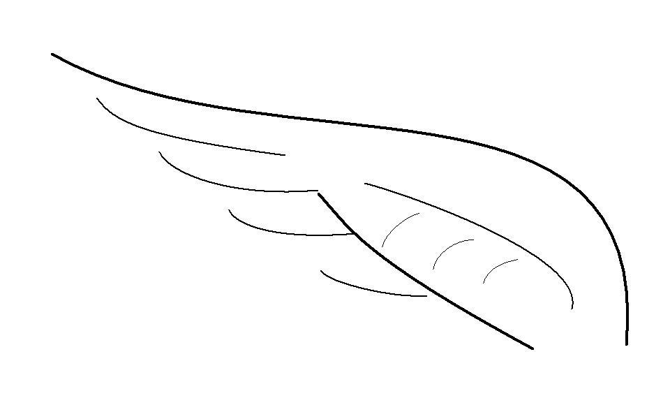 Wing Basic Lines Simple line wings by Avuneon on DeviantArt