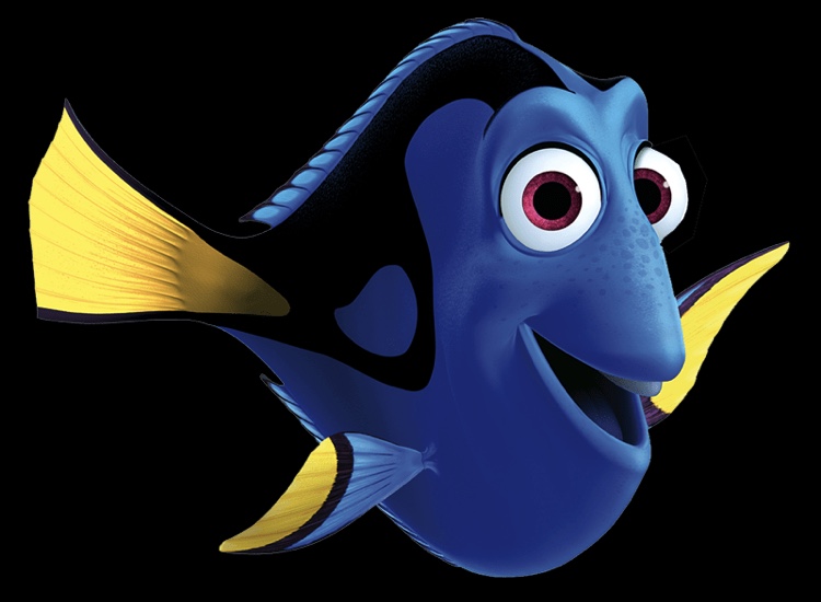 Dory R Dory by PixarAnimation on DeviantArt