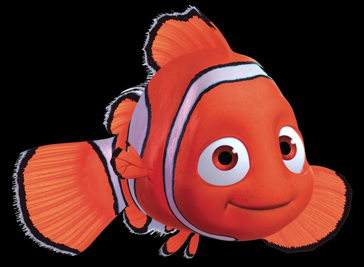Nemo by PixarAnimation on DeviantArt
