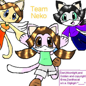 Team Neko