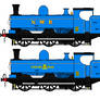 What If NWR Blue Duck