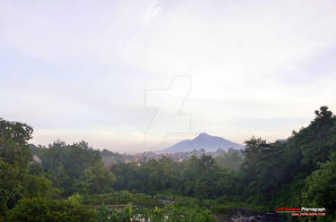 Mount Merapi Landscape