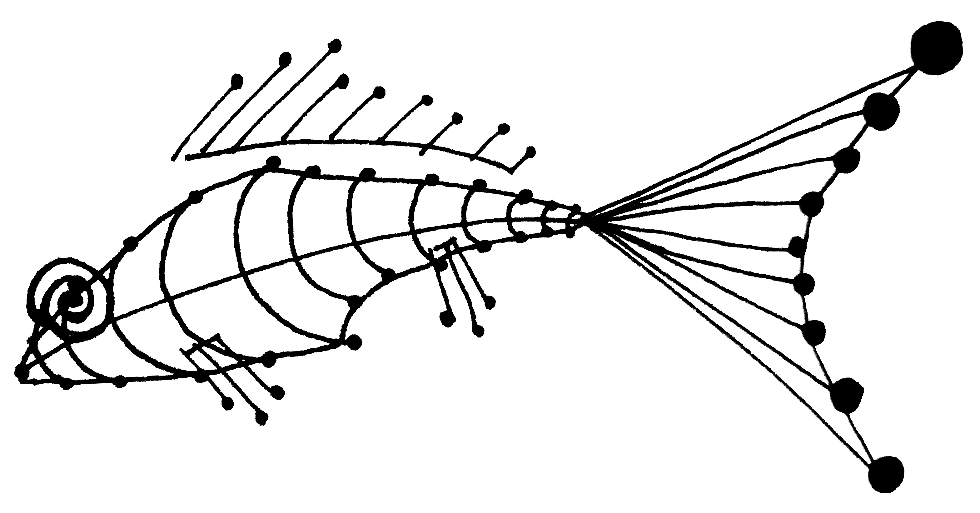 Bony fish by artelunia on DeviantArt