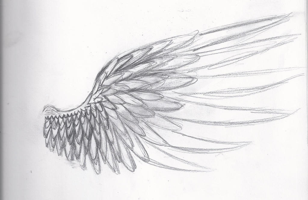 Wing