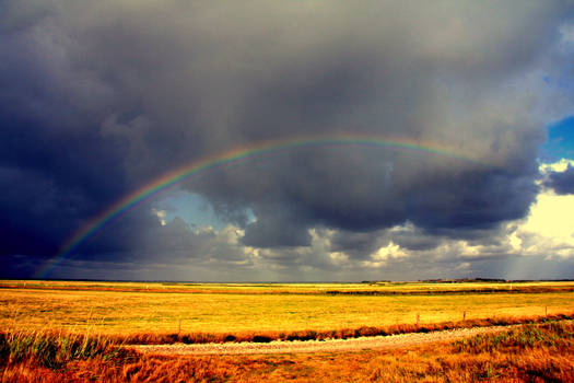 Harvest rainbow