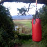 punching bag