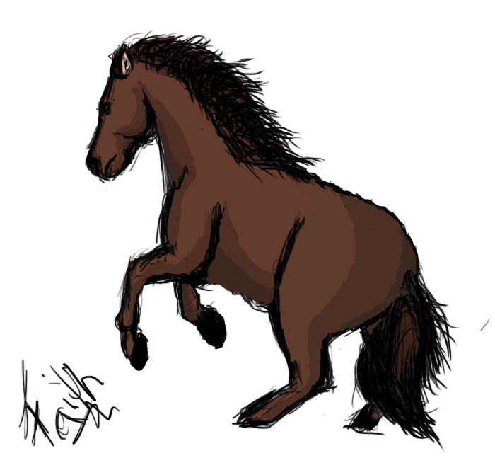 random horse drawing