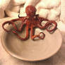 Octopus Bowl