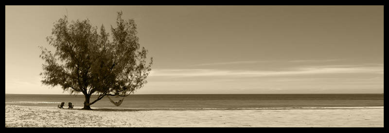 Beach scene