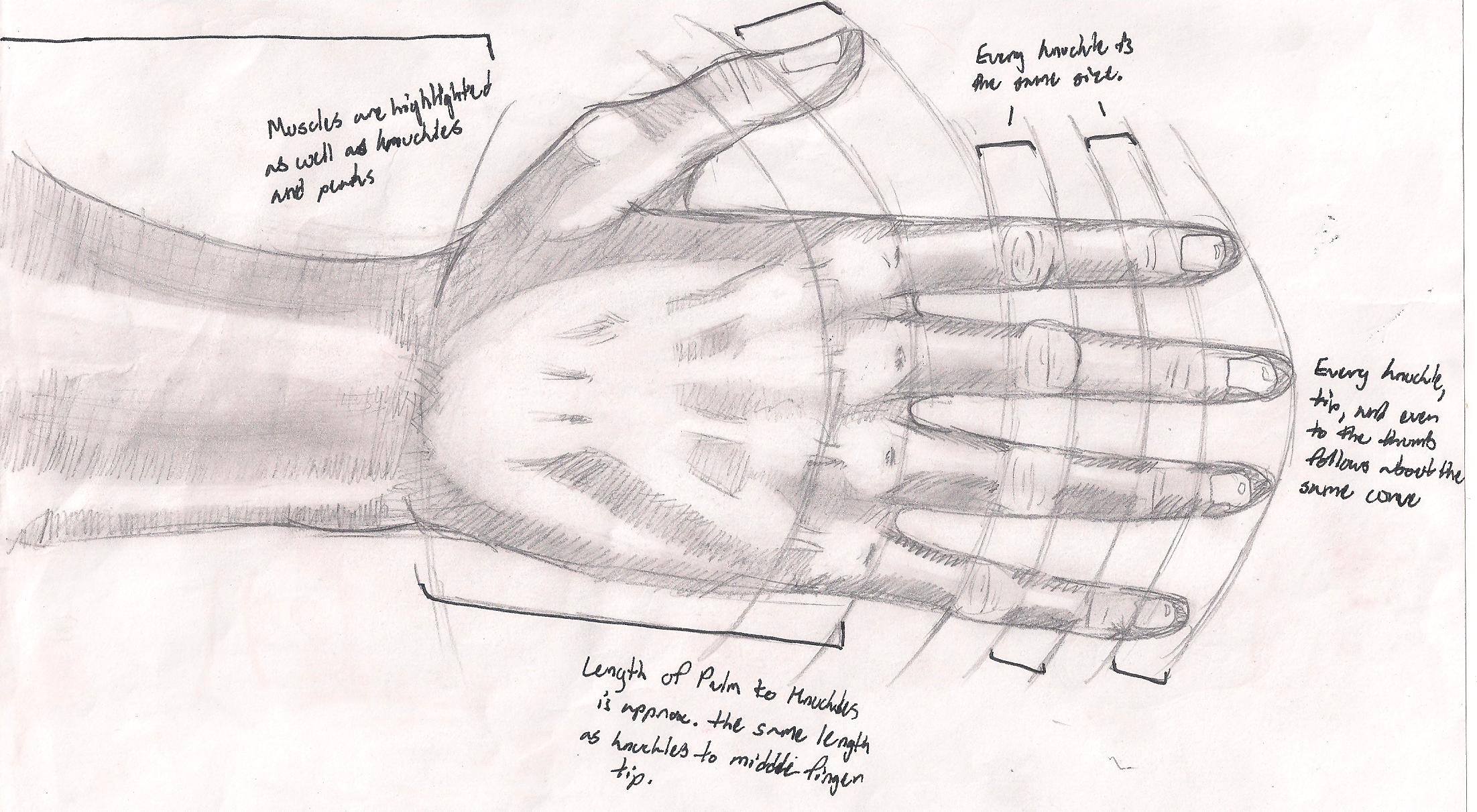 Normal Hand Reference Hand Reference Sheet by werewolfnick on DeviantArt
