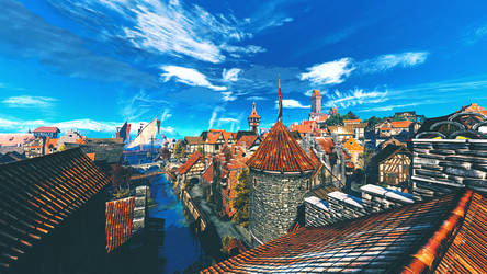 Novigrad from Above