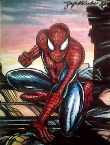 Spiderman Fsc