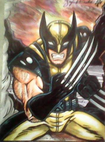 Wolverine Fsc