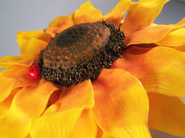 Sunflower Cake