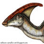 Parasaurolophus head