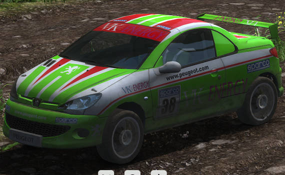 2005 Peugeot 206 RCC