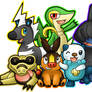 Black and White Pokemon Team