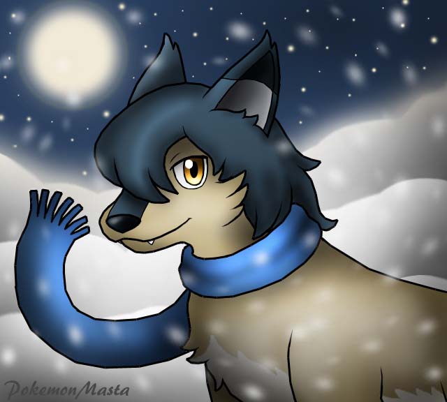 Ame the Wolf Child