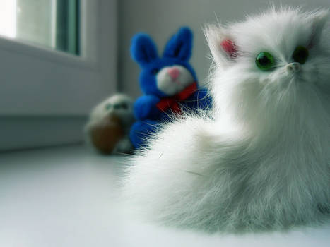 Cute Fluffy White Kitten