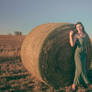 Journey in Wheat Field