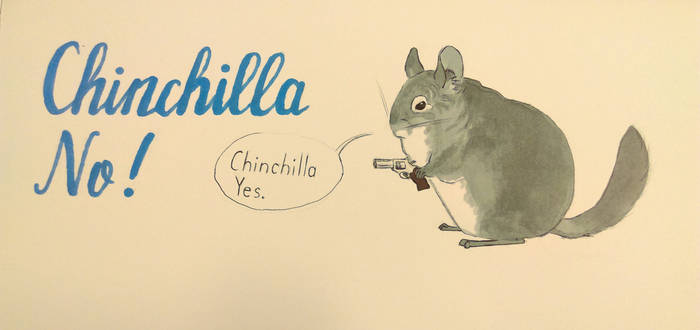 Chinchilla No!
