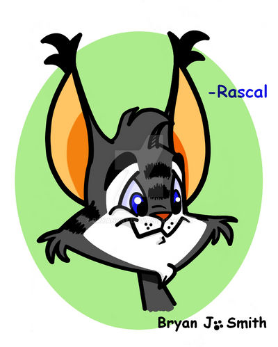 Rascal Cat Color background and shading by Bryano37 on DeviantArt