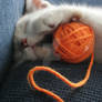 Cat'S yarnball 3