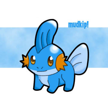 mudkip