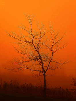 Sunrise in South Dakota