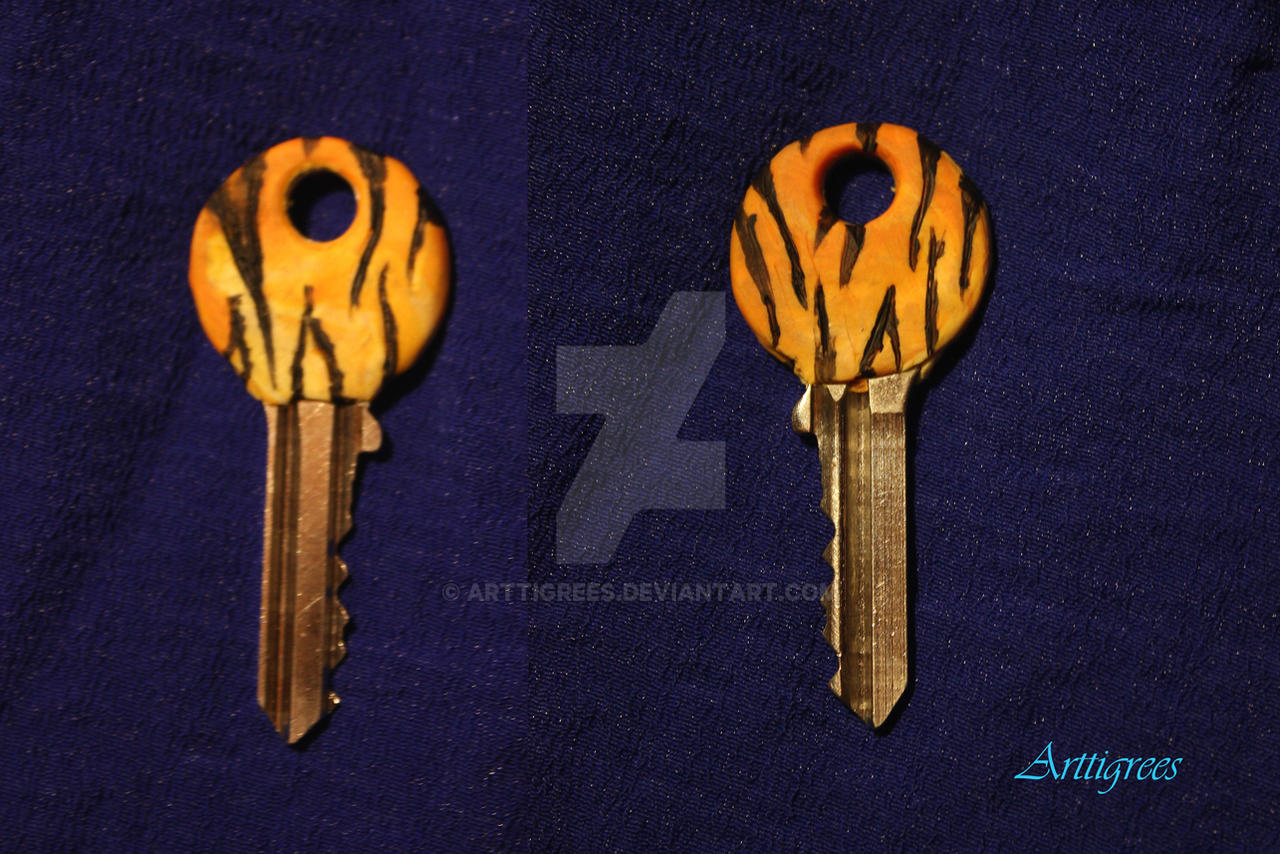 Tiger Key Tiger key by arttigrees on DeviantArt