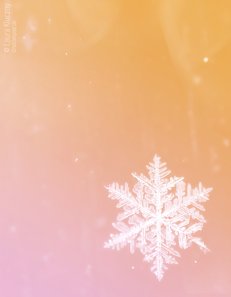 Collection: Snowflakes on coloured background