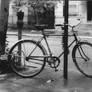 Bicycle in New York City, Lower West Side Village.