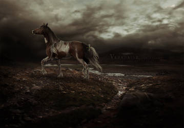CM~ the ruler and the killer by Veradaine