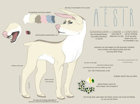 Aesir Ref