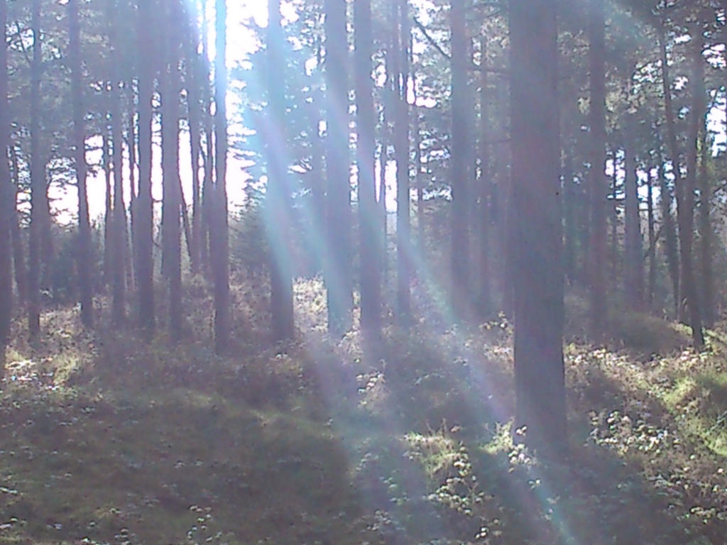 Ravenlight by SoulsSpectrum on DeviantArt