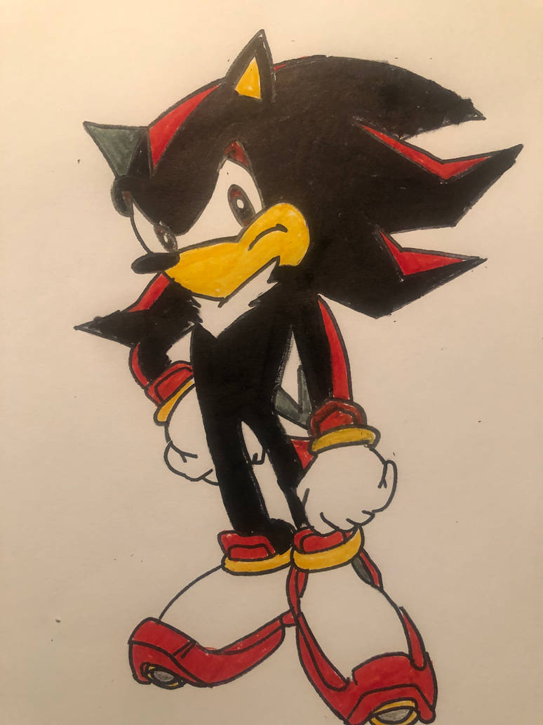 Toonsite Shadow Shadow the hedgehog by HalfBakedPants on DeviantArt