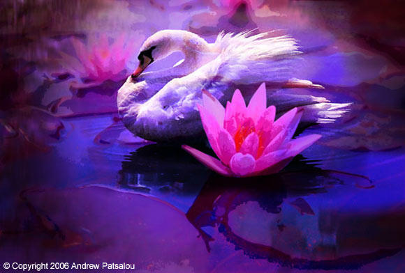 Swan Lake Series - 1 by Andrew-Patsalou on DeviantArt