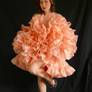 tutu barbie cancan