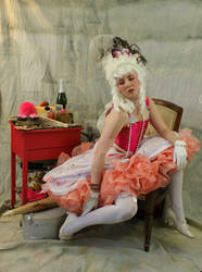 pink Marie antoinette preview