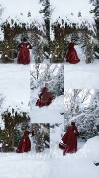 rose red snow set 2