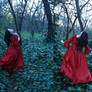 petit chaperon rouge 5